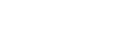 solum logo main